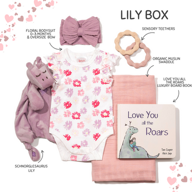 Baby Girls Newborn Personalised Luxury Baby Gift Hamper