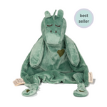 "Love you all the Roars" Baby Boy Dinosaur Gift Box