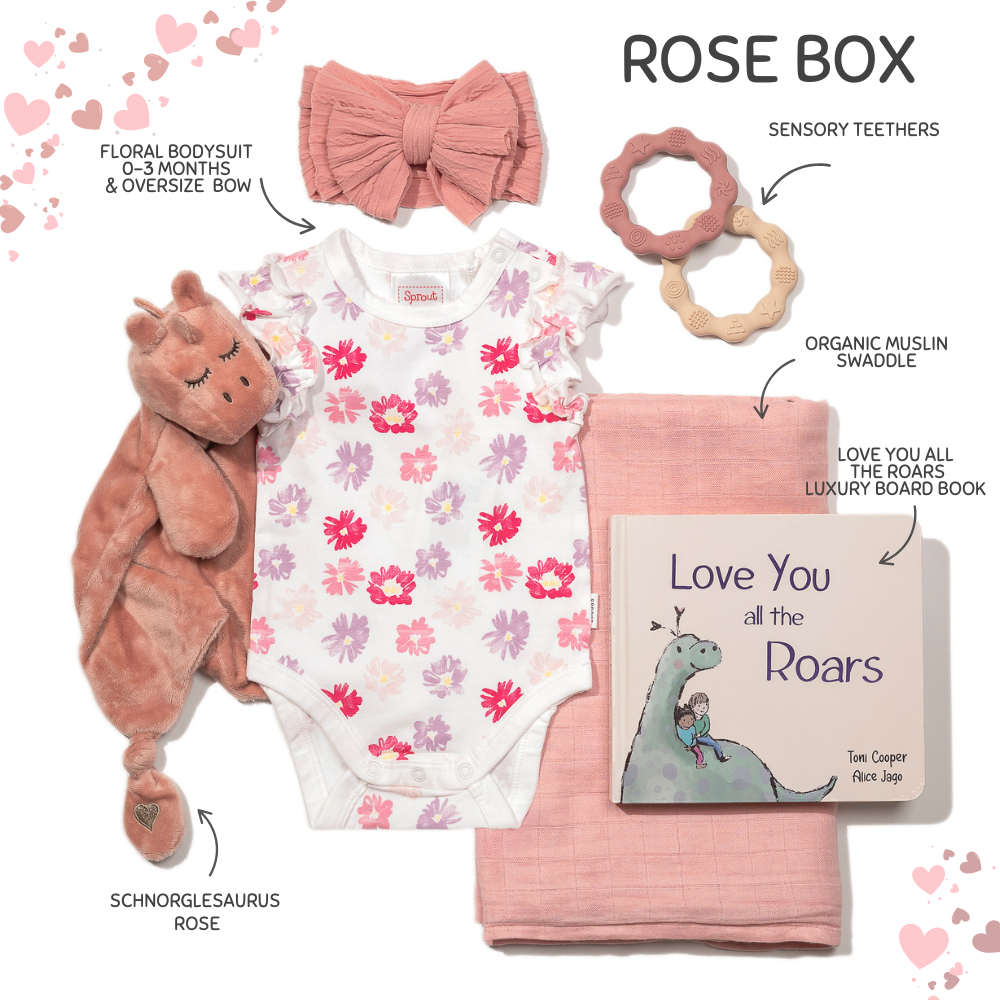 "Love you all the Roars" Baby Girl Dinosaur Gift Box